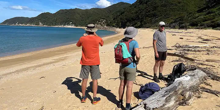 Three walkers standing on a golden Beach on the Abel Tasman. One is taking a photo