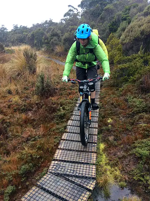 Biker negotiating boardwalk en route to James Mackay Hut, Heaphy Track
