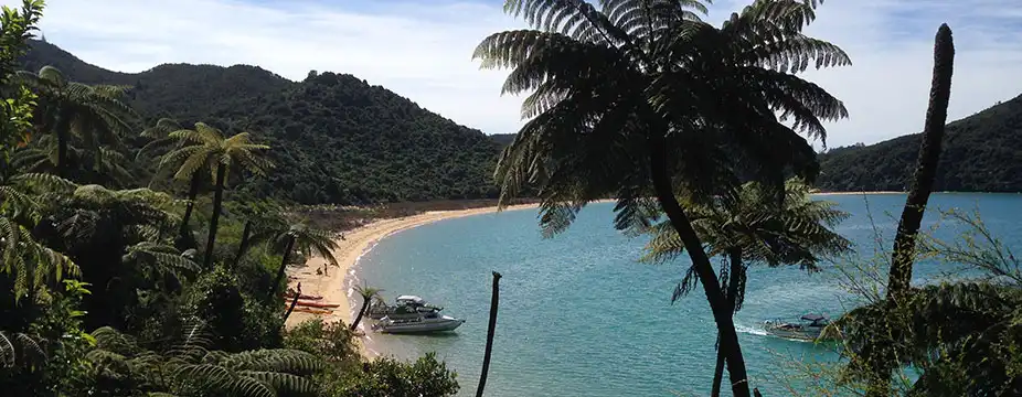 A view through tree ferns to a golden beach on the Abel Tasman with a boat moored and kayaks on the sand