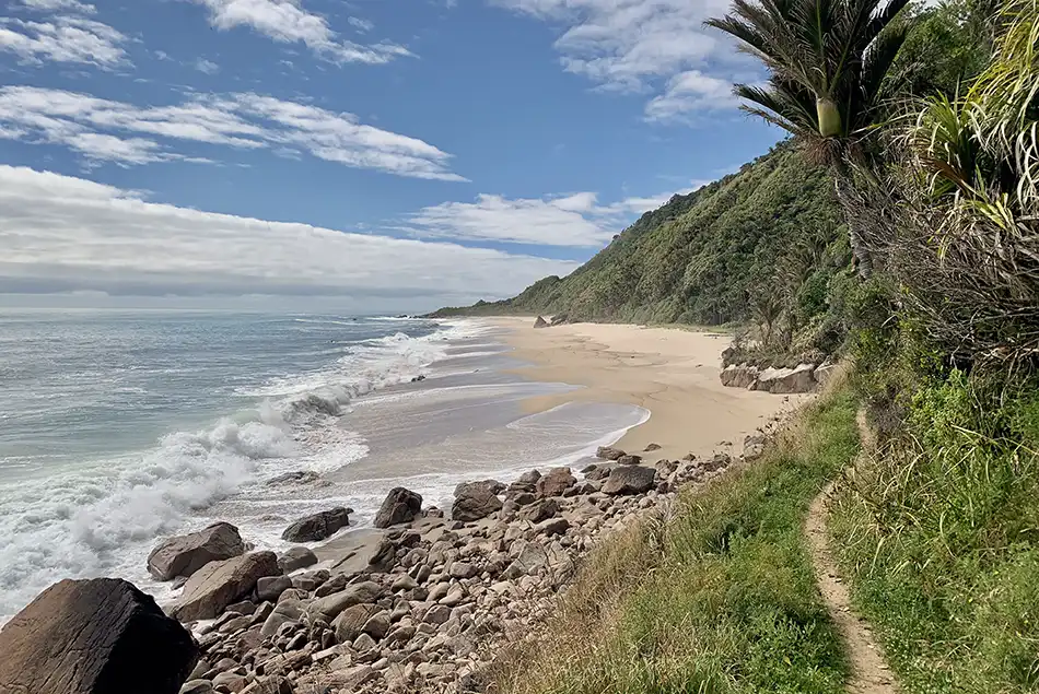 View along Heaphy Track heading north, palm fringed beach