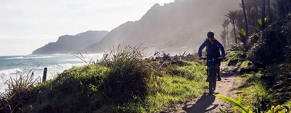 A lone biker rides toward the camera along the sun-lit Nikau lined coastal section of the Heaphy Track