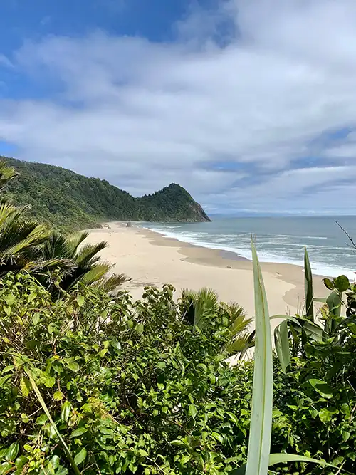 View over Scotts Beach with green bushy frame and blue sky