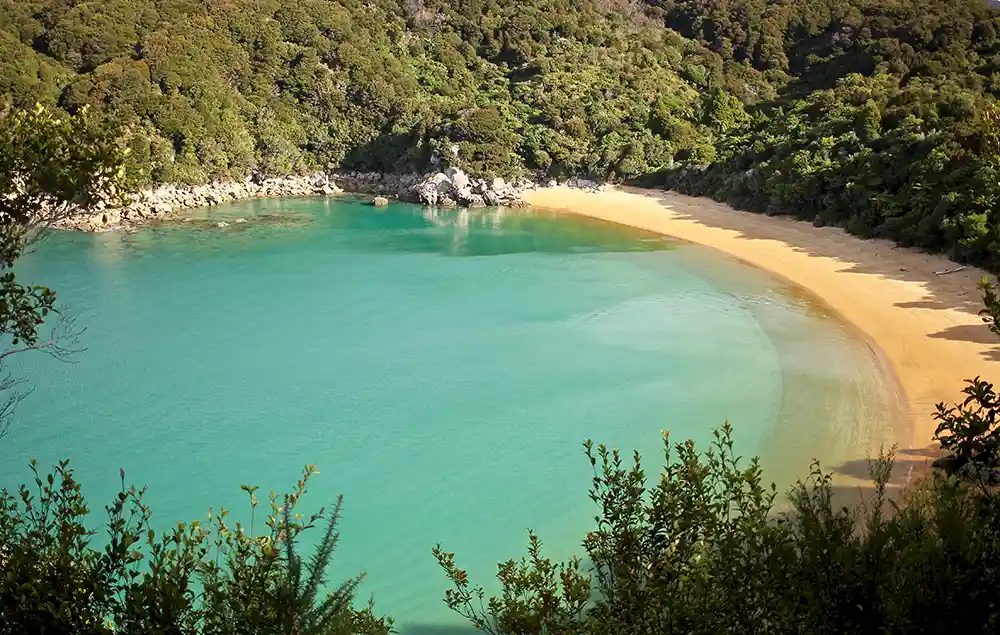 Te Pukatea Bay, perfect curved golden sand beach